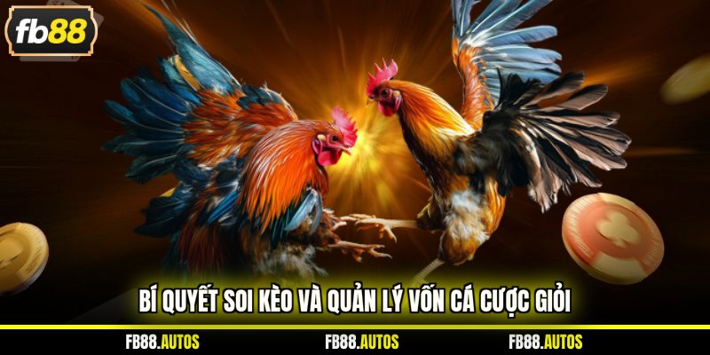 Bí quyết soi kèo và quản lý vốn cá cược giỏi