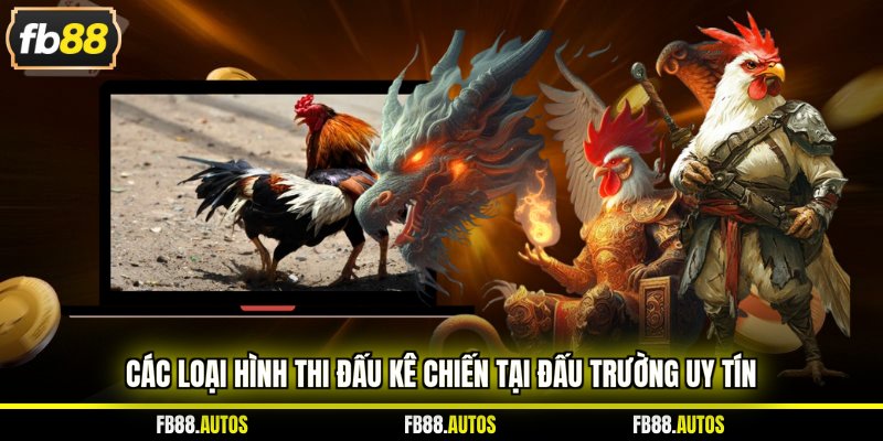 Các loại hình thi đấu kê chiến tại đấu trường uy tín