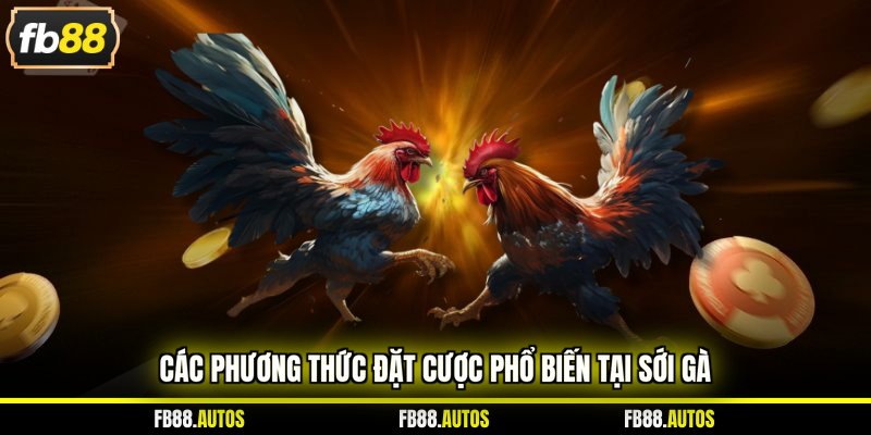Các phương thức đặt cược phổ biến tại sới gà