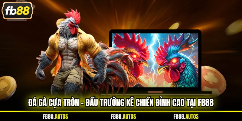 đá gà cựa tròn