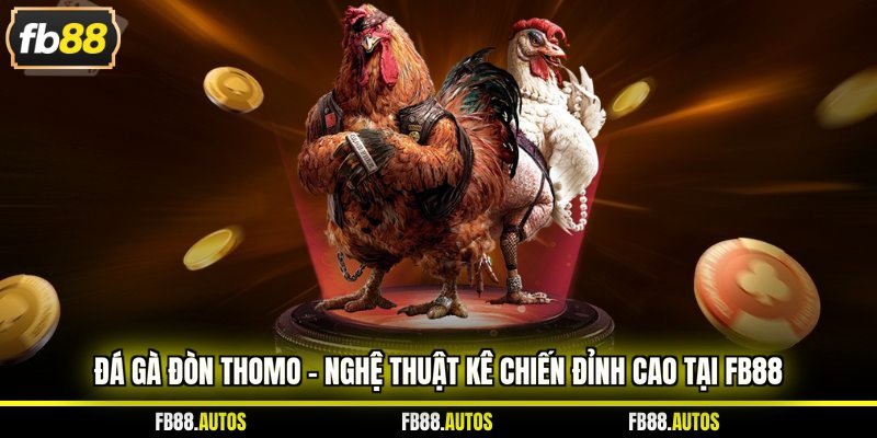 Đá gà đòn Thomo