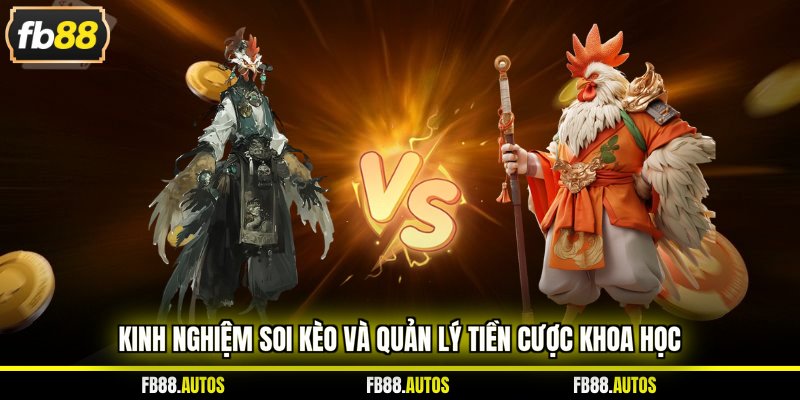 Kinh nghiệm soi kèo và quản lý tiền cược khoa học