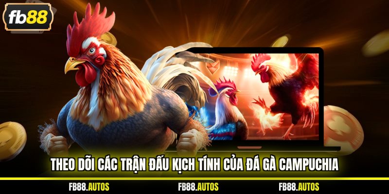 Theo dõi các trận đấu kịch tính của đá gà Campuchia