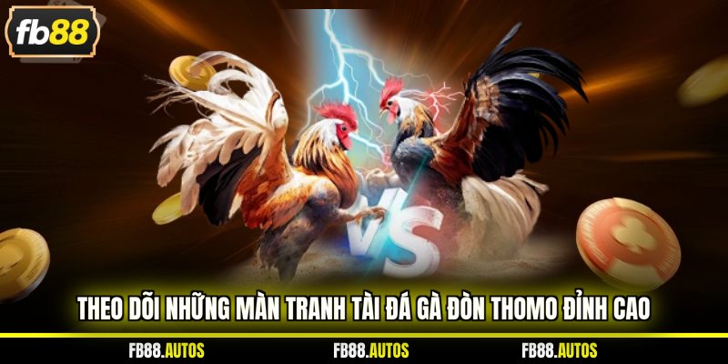 Theo dõi những màn tranh tài đá gà đòn Thomo đỉnh cao