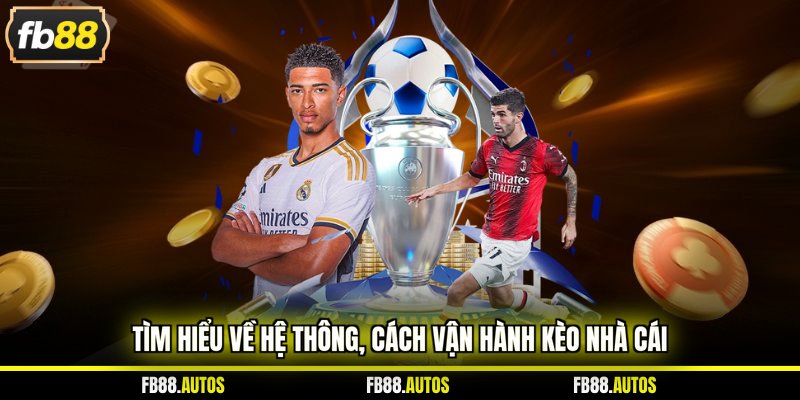 Tìm hiểu về hệ thông, cách vận hành kèo nhà cái