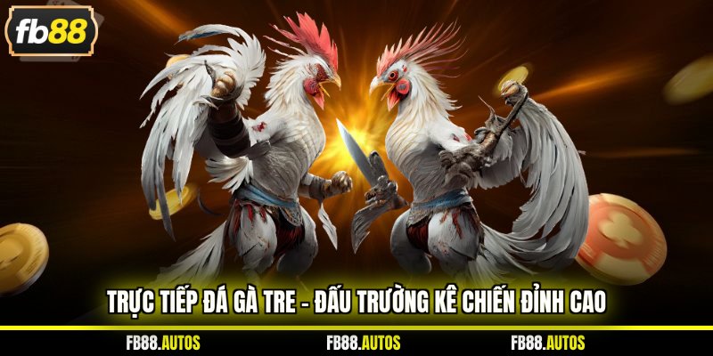 Trực tiếp đá gà tre